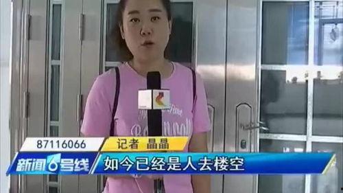 石家庄小胖墩爆料视频,揭秘校园霸凌背后的真相